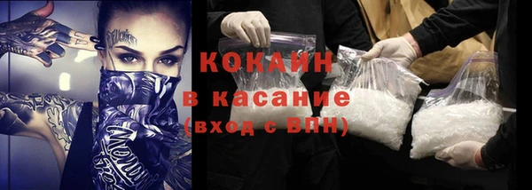 крисы Алексин