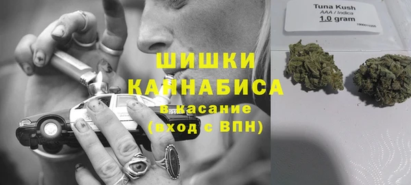 гидра Алексеевка