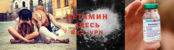 крисы Алексин