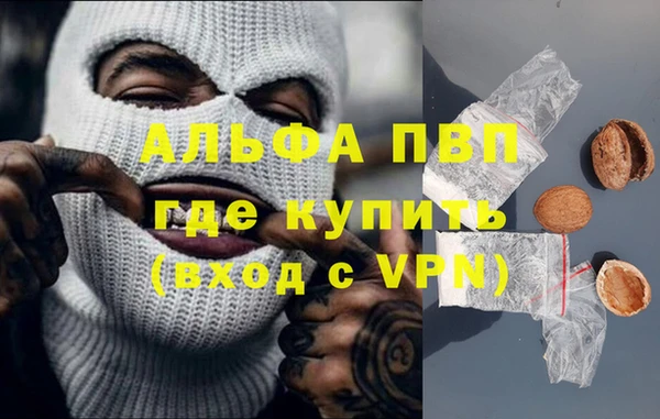 крисы Алексин