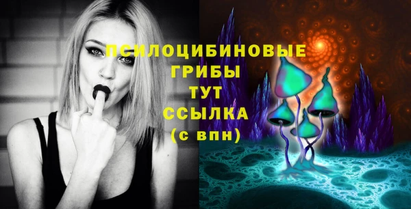крисы Алексин