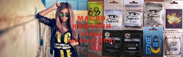 МДПВ Пересвет