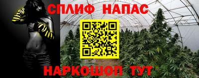 гашиш Будённовск