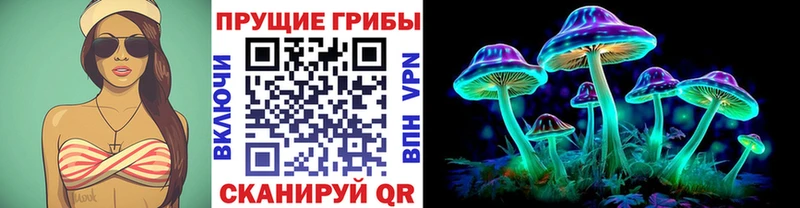 Псилоцибиновые грибы ЛСД  цена наркотик  Новоалтайск 