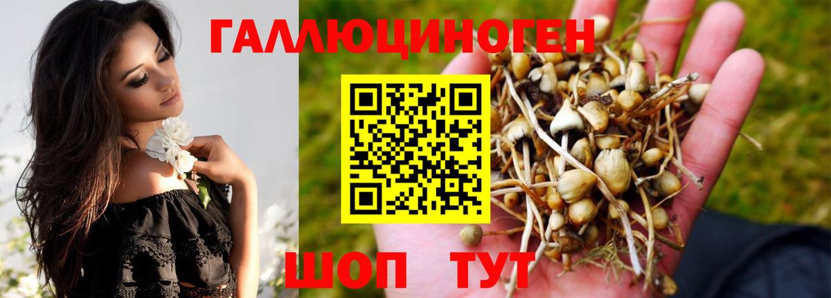 Псилоцибиновые грибы Psilocybine cubensis  где можно купить   Новоалтайск  Вход с VPN 