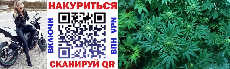 МАРИХУАНА Amnesia магазин наркотиков kraken маркетплейс Новоалтайск